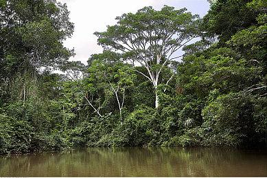 《浪人崛起》销量低于预期 光荣下调财年营收